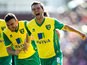 Norwich's Jonny Howson celebrates after scoring the opening goal against Stoke during their Premier League match on September 29, 2013